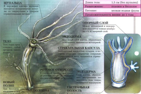 Кракен вход ссылка