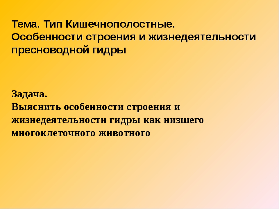 Kraken сайт kraken torion