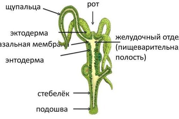 Кракен сайт покупок