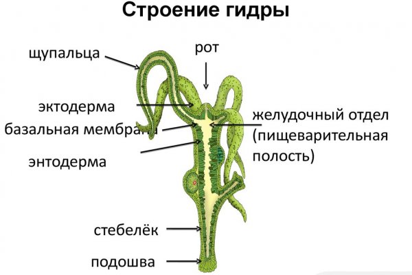 Магазин кракен как попасть