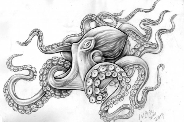 Kraken ссылка актуальная