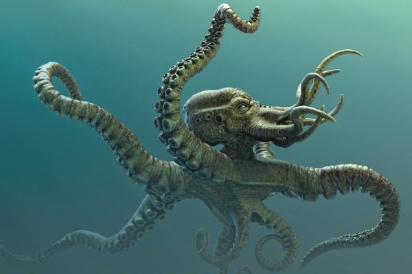 Kraken 24 at