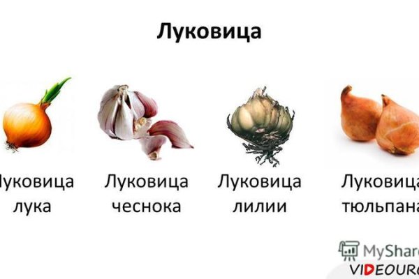 Гидра альтернатива