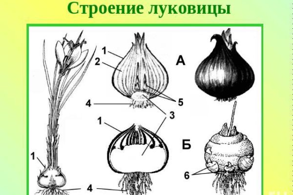 Кракен ссылка зеркало