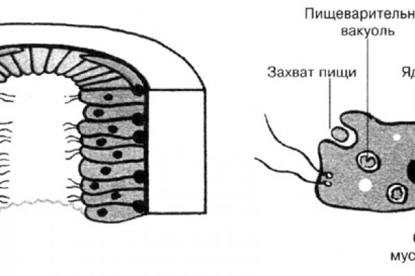 Кракен сайт