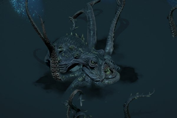 Kraken 24 top